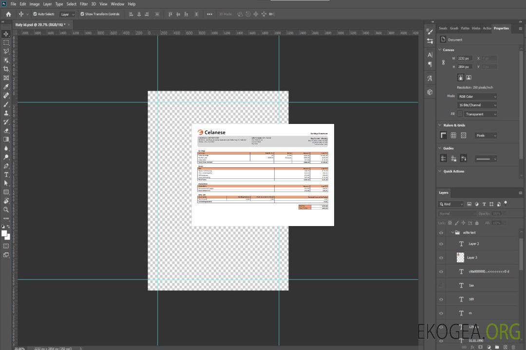 Entreprise technologique américaine Celanese template